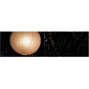 Lanterns for Events